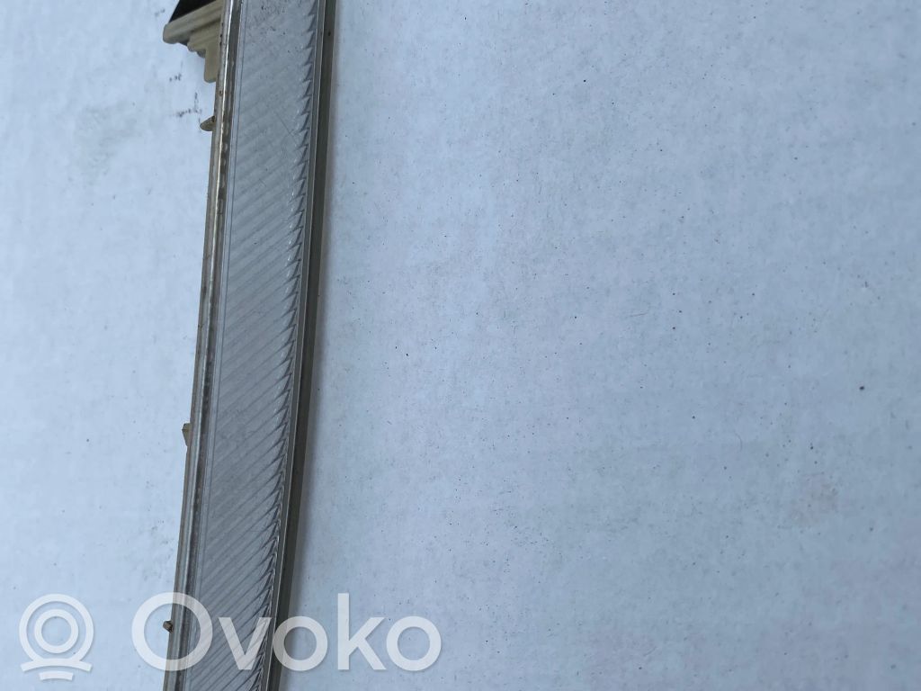 BMW X6 E71 Front reflector 