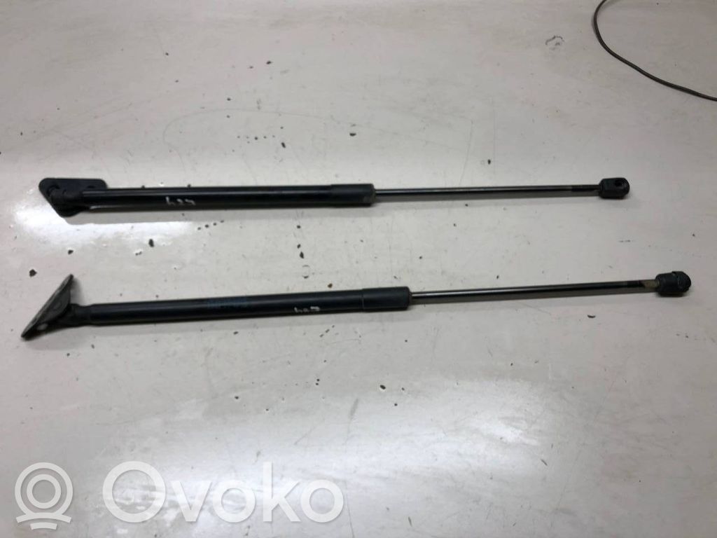 BMW X1 E84 Bagāžnieka amortizators 