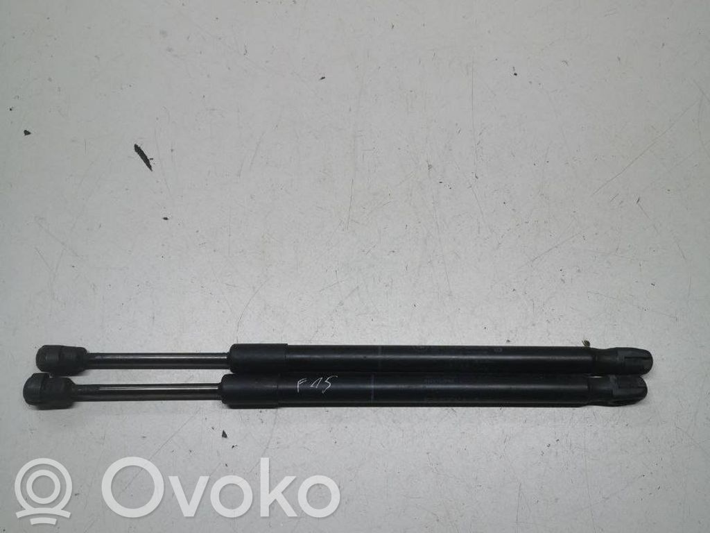 BMW X5 F15 Amortiguador/puntal del capó/tapa delantero 