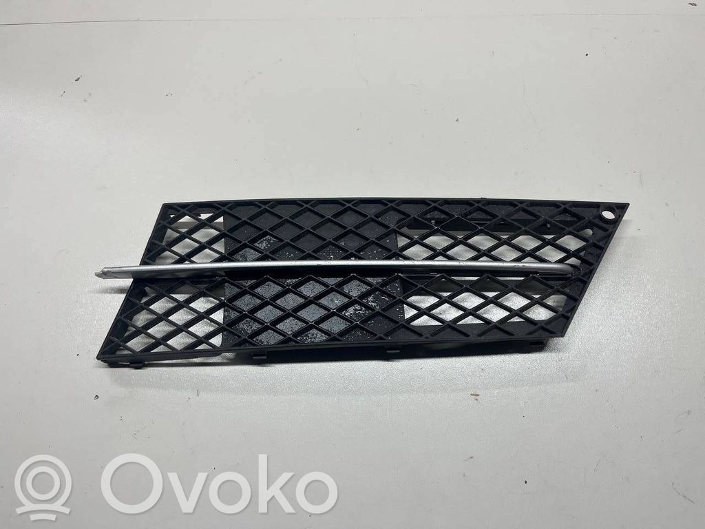 BMW 5 E60 E61 Front bumper lower grill 