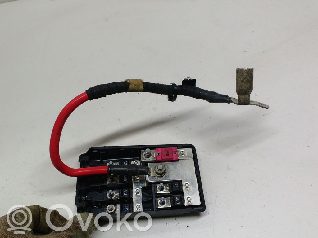 BMW 2 F46 Cableado positivo 