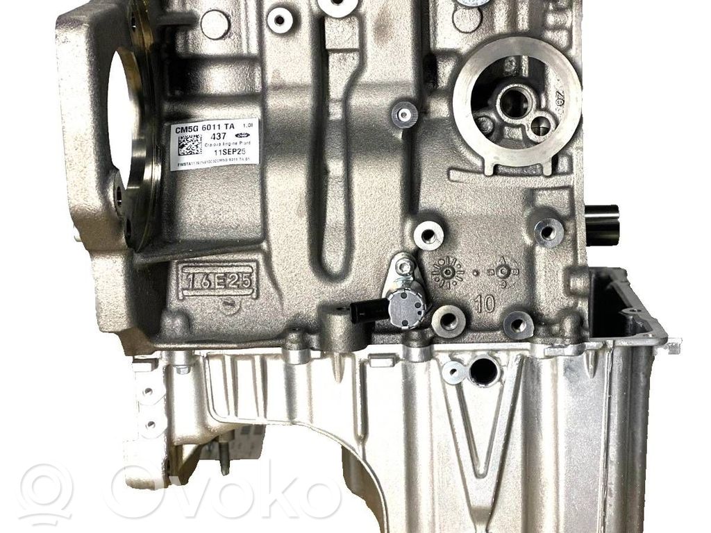 Engine block   1917539,3CM5G6006BA,C1BG6006DA,1829184,1833094,1835980,1857847,1857848,1857849,1857850,1897600,1897601,1897609,1917536,2239292,2421450,2421452,2429346,2499932,C1BG6006FB,CM5G6006BA,CM5G6011BA,CM5G6011TA,F1FG6006BA,RMC1BG6006JB,RMF1FG6006BA,SVC1BG6006DA,SVC1BG6006FA,SVCM5G6006AA,SVCM5G6006BA