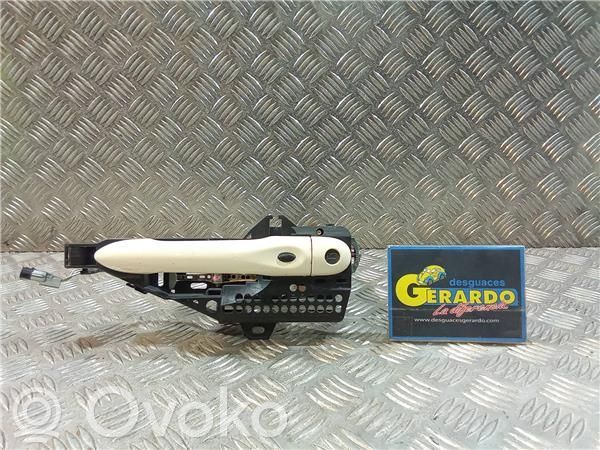 Etuoven ulkokahva   806079784R