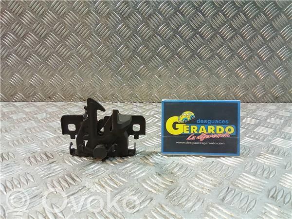 Dacia Sandero Tie down hook / loop 