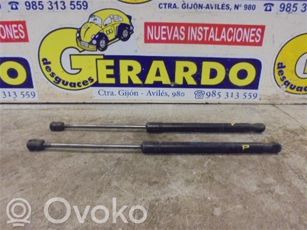 Amortiguador del maletero/compartimento de carga