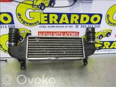 Ford Focus Intercooler radiator 