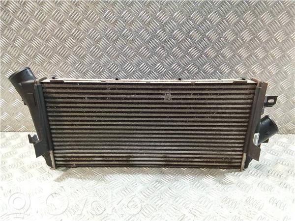 Intercooler radiator   988876H