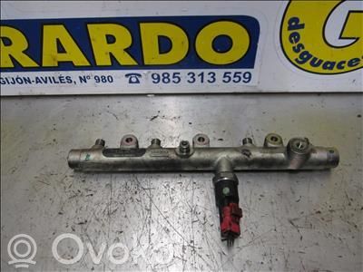 MONO injection   445214019