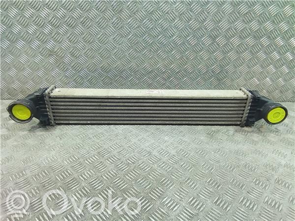 Radiador intercooler   A1695000000