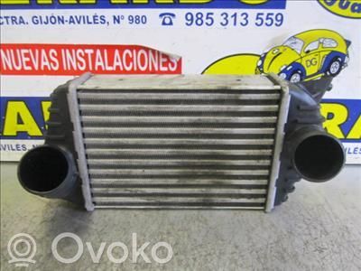 Intercooler radiator