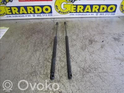 Tailgate/trunk/boot lid buffer