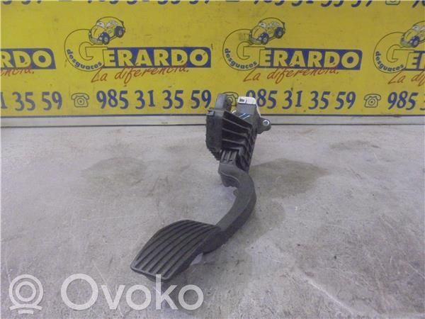Pedale dell’acceleratore   13305804