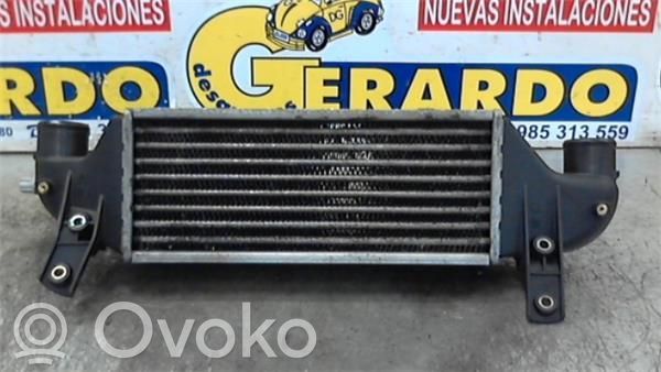 Ford Focus Intercooler radiator 