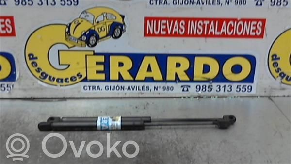 Amortiguador del maletero/compartimento de carga