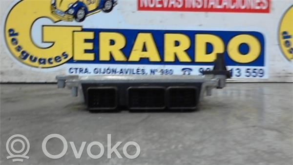 Engine control unit/module ECU   9649158380,281011340
