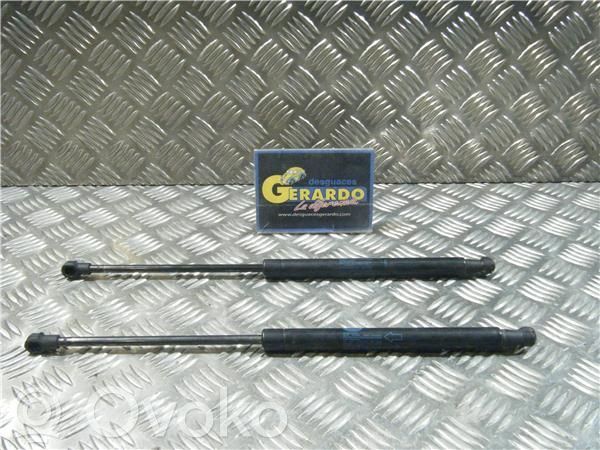 Land Rover Range Rover Sport L320 Tampon hayon/capotă portbagaj 