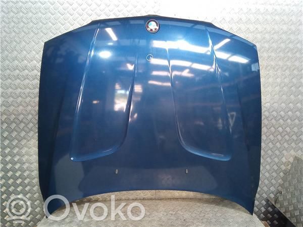 Capó/tapa del motor   41003449411