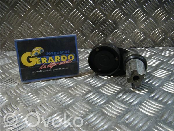 Land Rover Range Rover Sport L320 Napinacz paska alternatora 