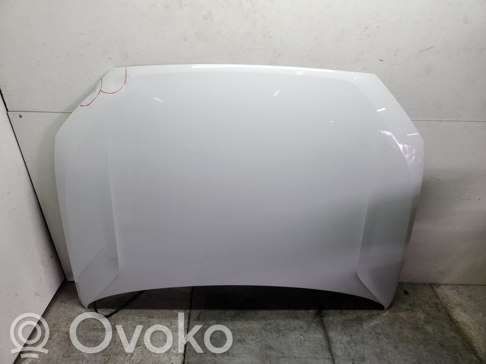Engine bonnet/hood