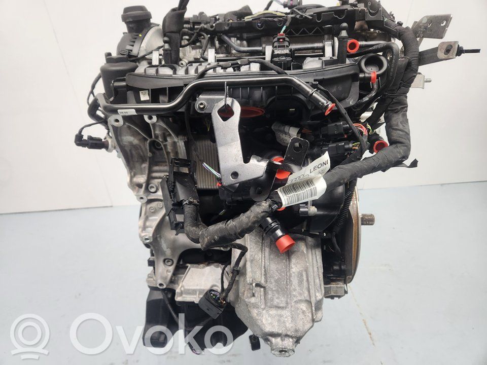 Motor   DRYA
