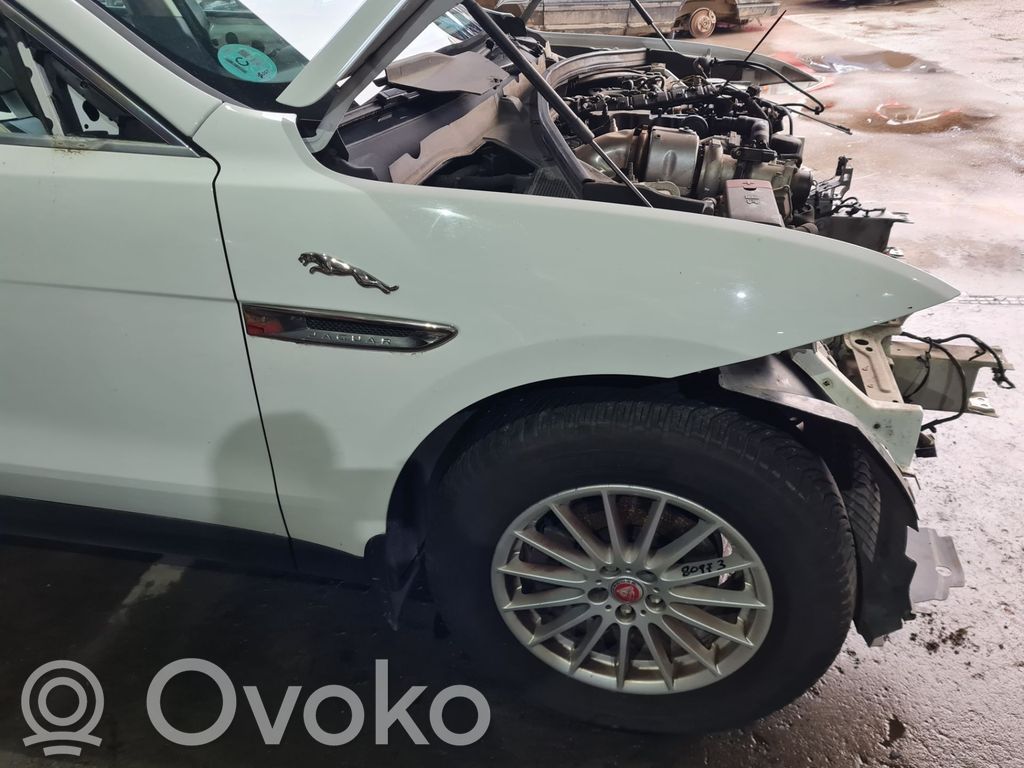 Jaguar F-Pace Guardabarro 