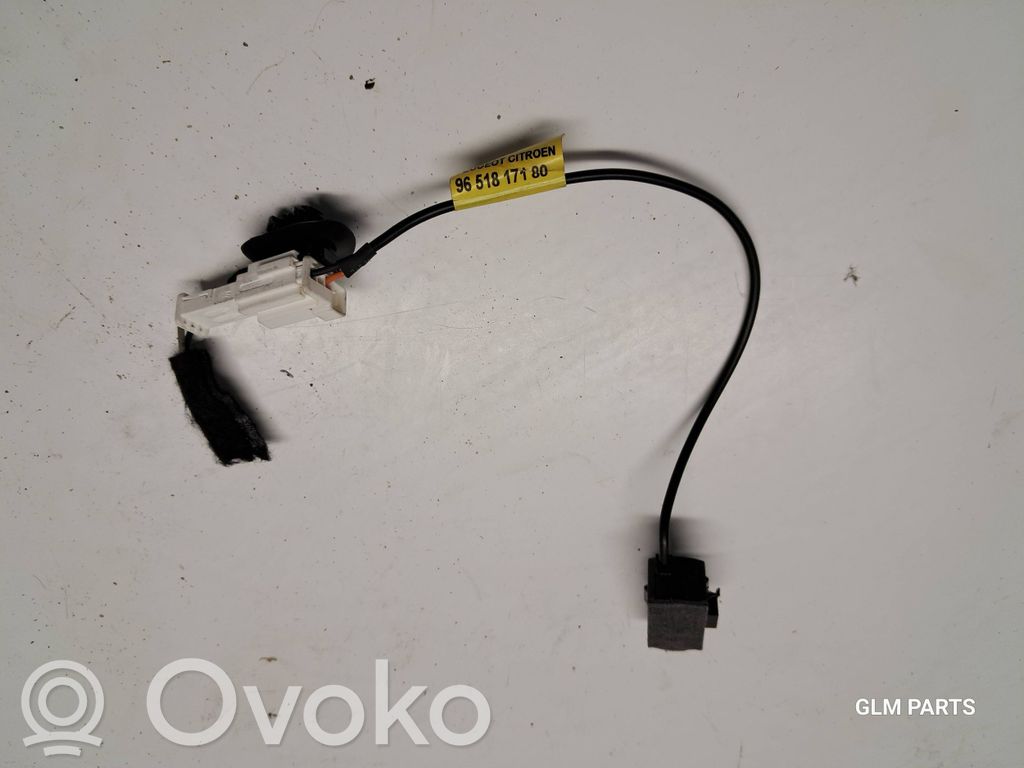 Micrófono (bluetooth/teléfono)   9651817180