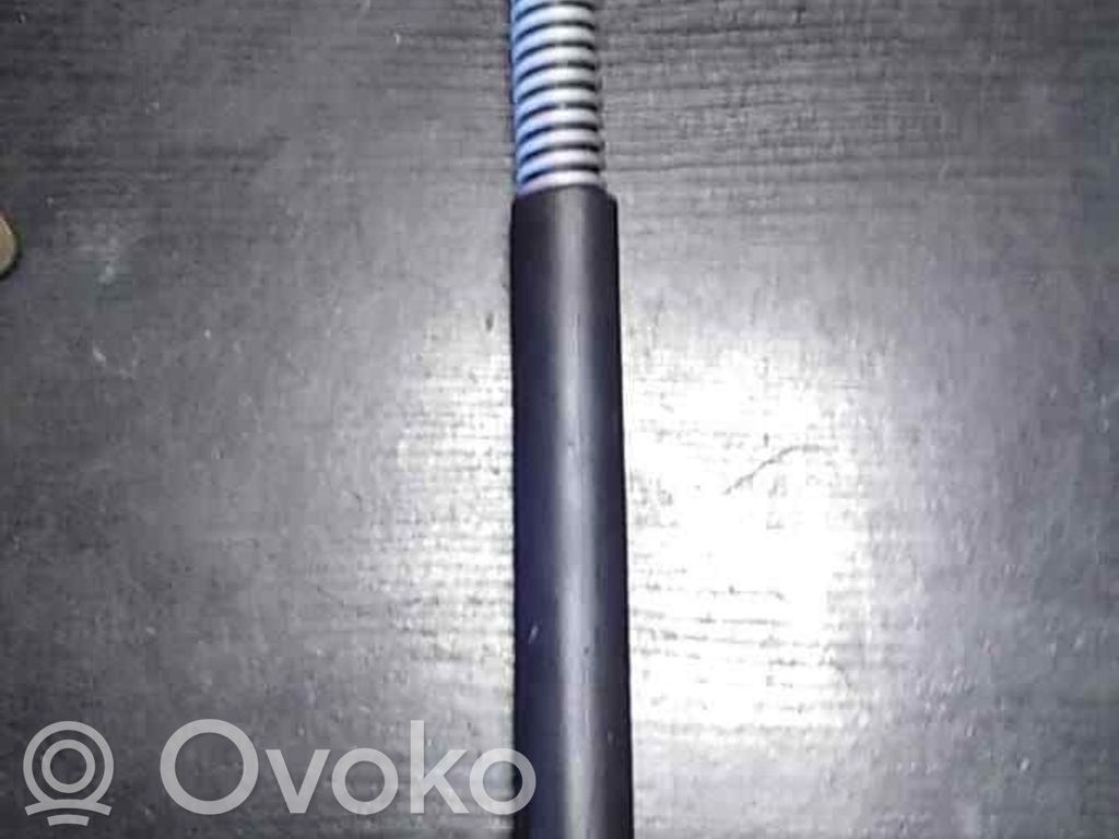Tailgate strut   7201461