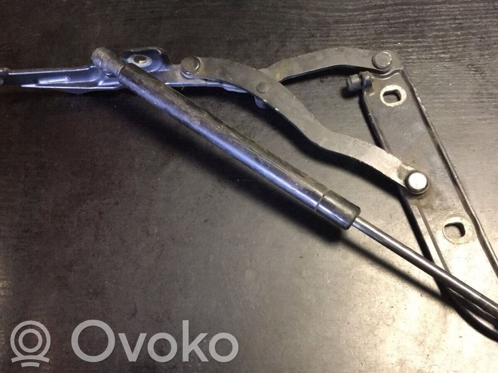 Tailgate/trunk/boot hinge   8220073
