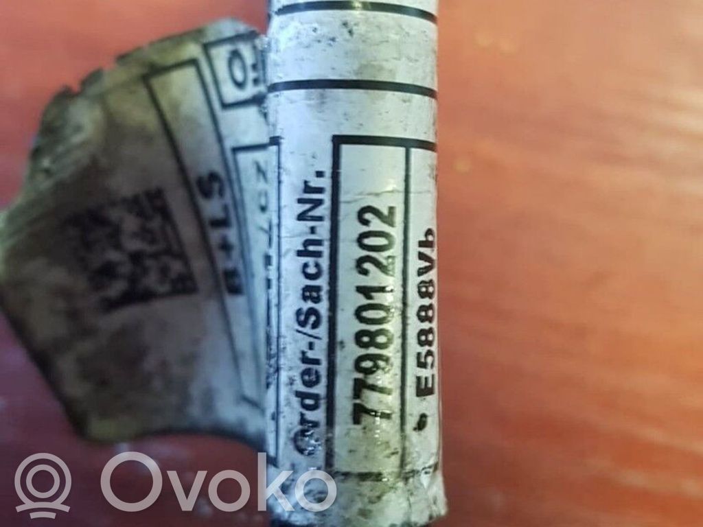 Autres faisceaux de câbles   7798012