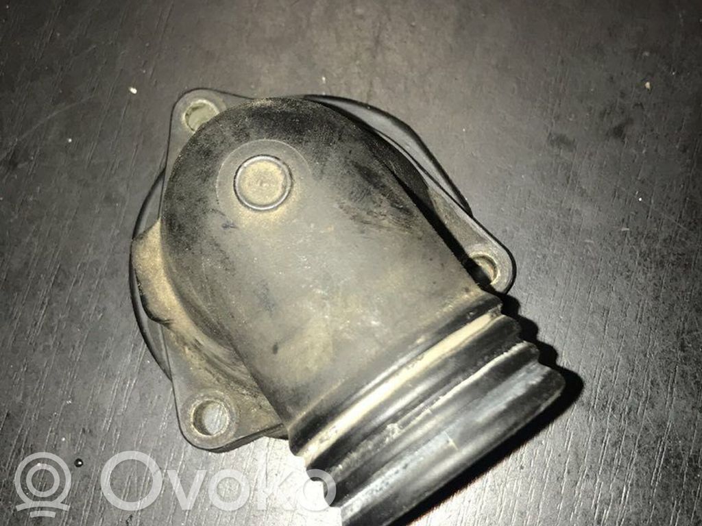 Engine coolant pipe/hose   2244828