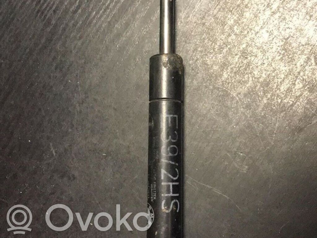 Tailgate/trunk strut/damper   8190688