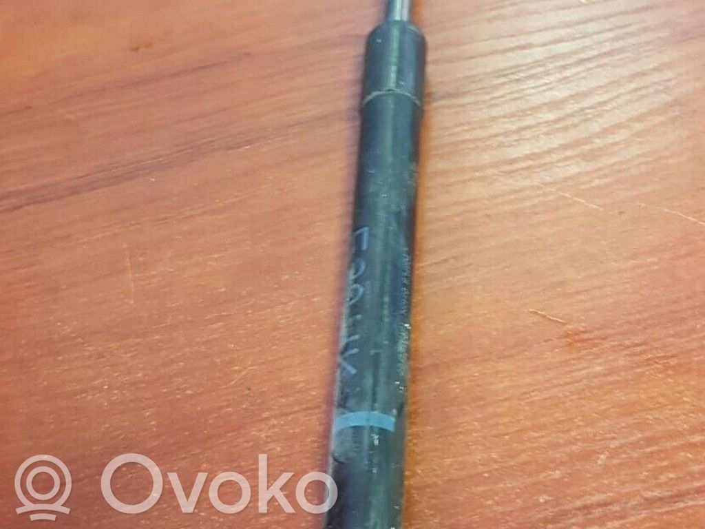 Tailgate/trunk strut/damper   8222913