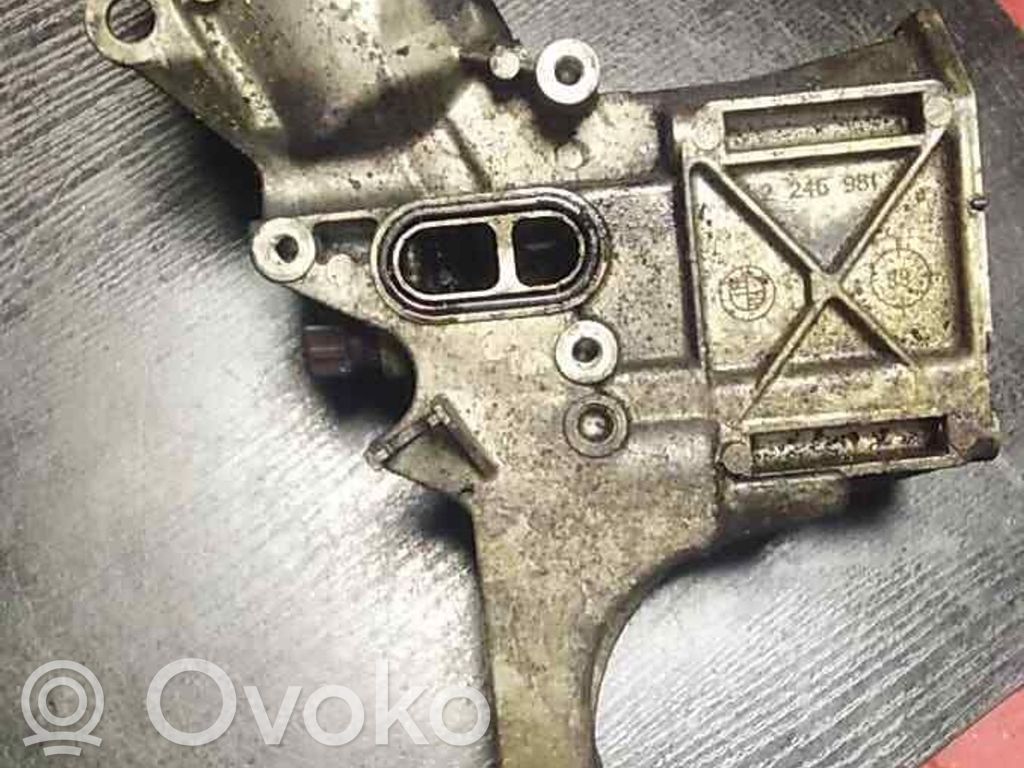 Oil filter mounting bracket   2246981