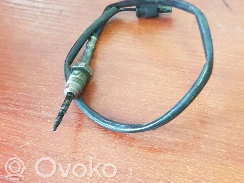 Abgastemperatursensor   7806254