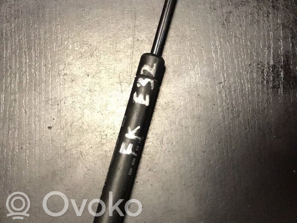 BMW 7 E32 Dzinēja pārsega eņģe (-es) 