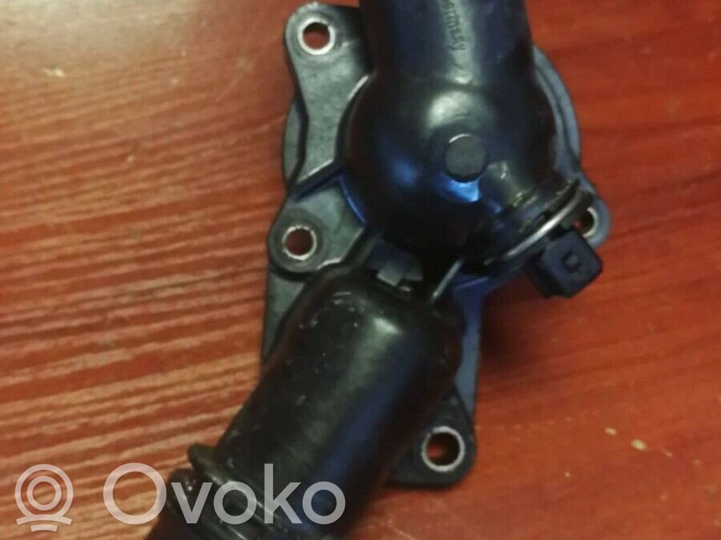BMW 5 E39 Termostatas/ termostato korpusas 