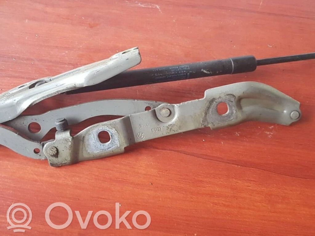 Tailgate/trunk/boot hinge   7060627