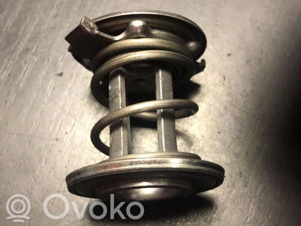 BMW 5 E39 Termostats 