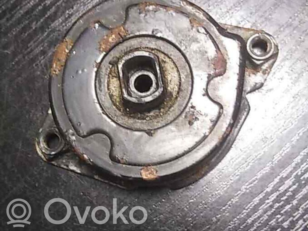 BMW 5 E39 Tendicinghia generatore/alternatore 