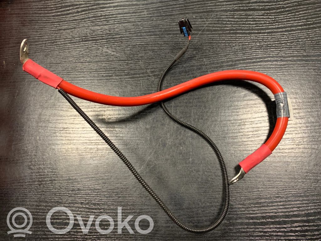 Positive cable (battery)   6971214