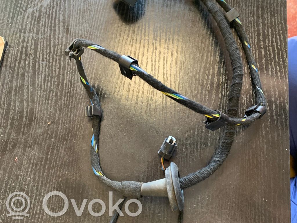 BMW 7 E65 E66 Cableado de puerta trasera 