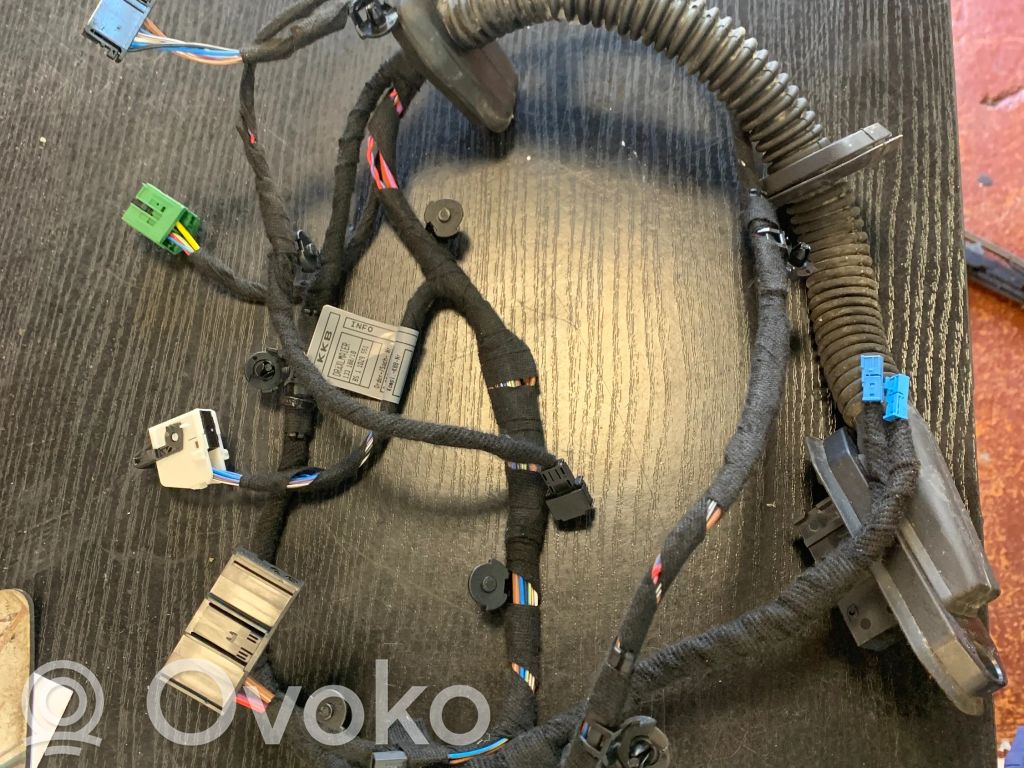 BMW 7 E65 E66 Front door wiring loom 