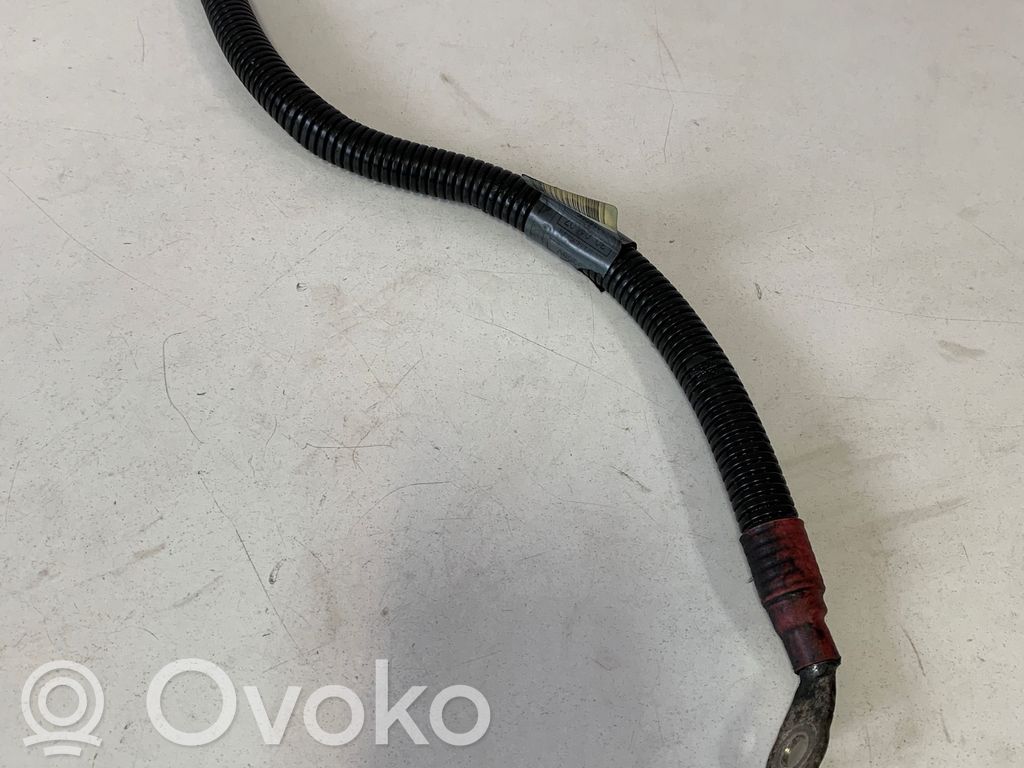 Positive cable (battery)   7793200