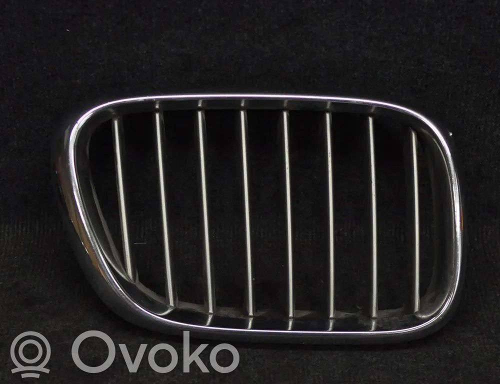 BMW X5 E53 Front grill 