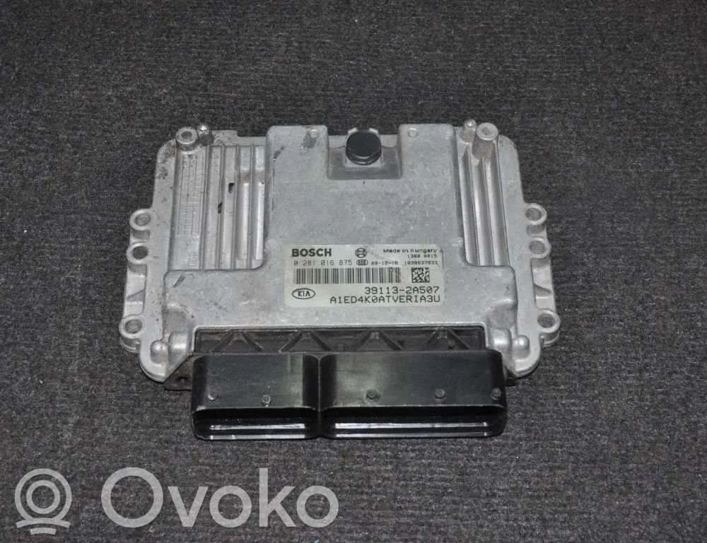 Engine control unit/module   0281016875,391132A507