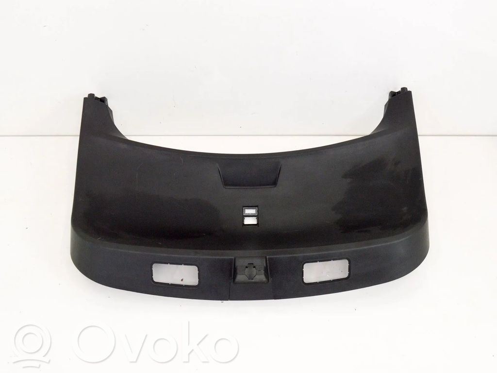Tailgate trim   100923800B