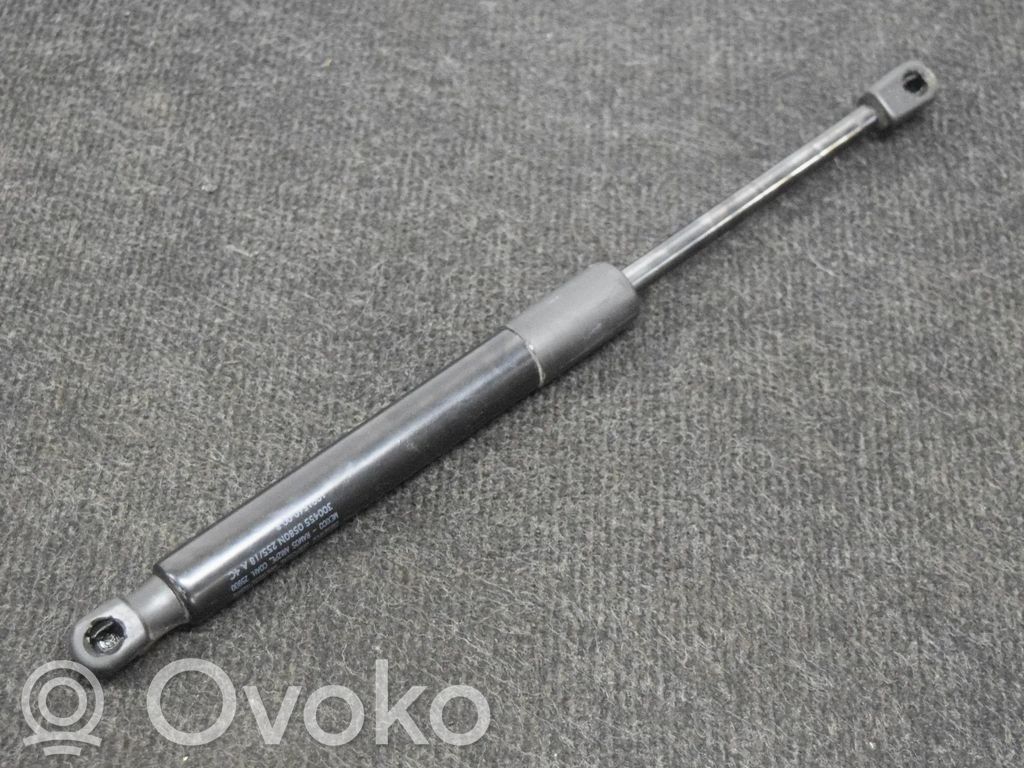 Tesla Model 3 Tailgate/trunk strut/damper 