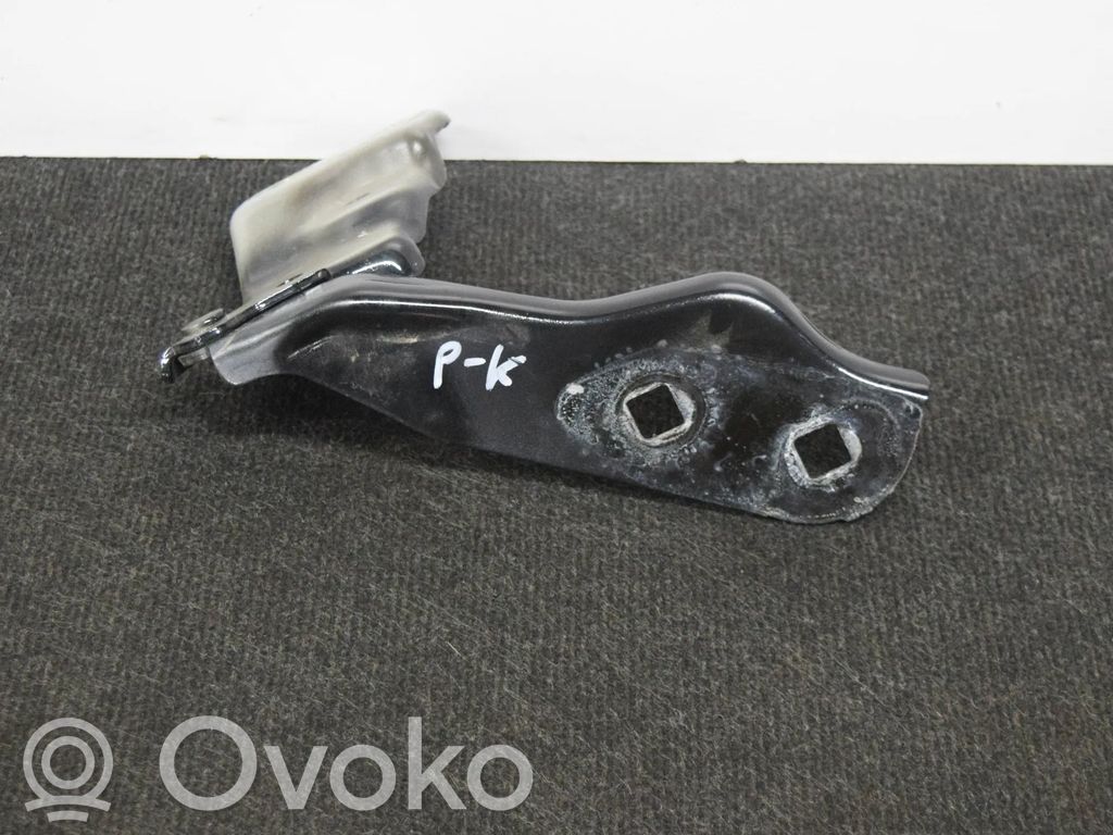 Tesla Model 3 Dzinēja pārsega eņģe (-es) 