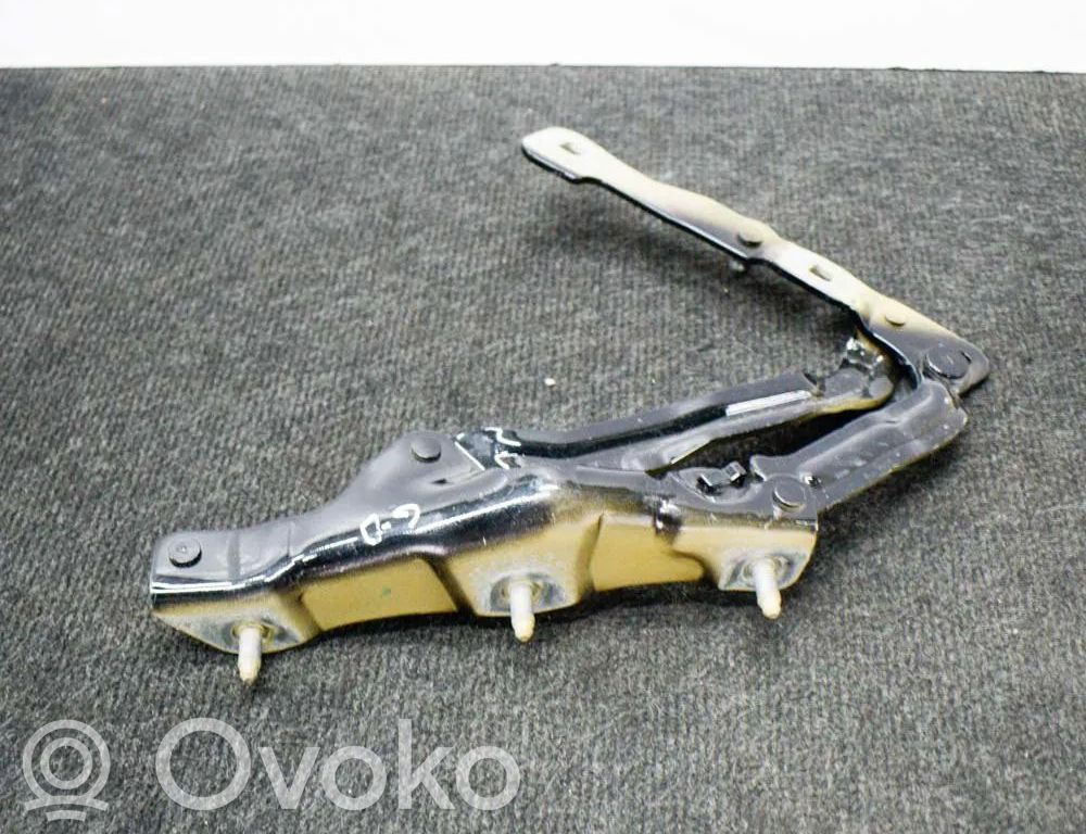 Tesla Model 3 Aizmugurējā pārsega eņģe (-ess) 