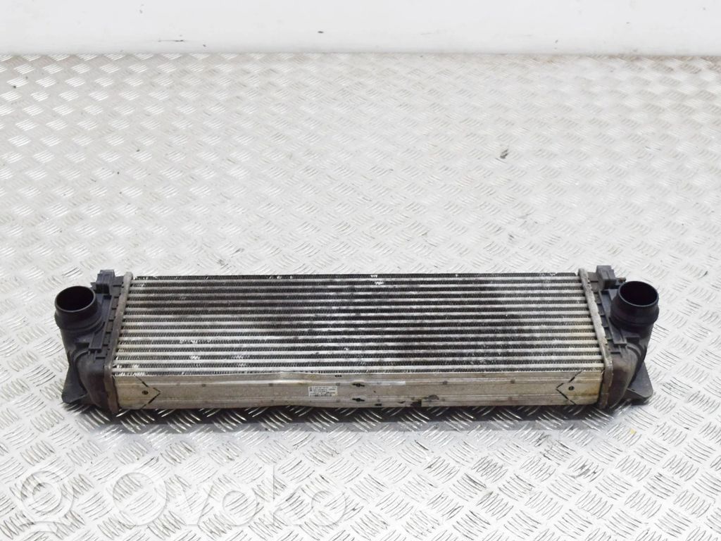 Mercedes-Benz Sprinter W906 Radiator intercooler 